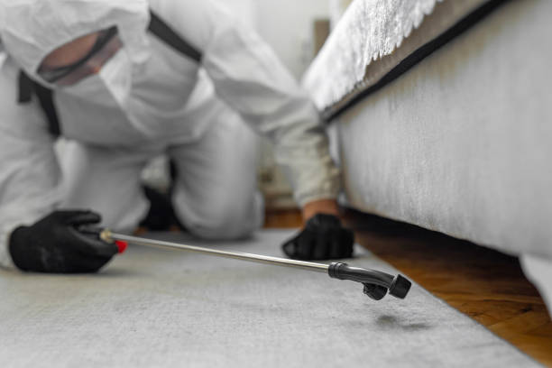 Professional Bed Bug Control technician working in Westport, WA