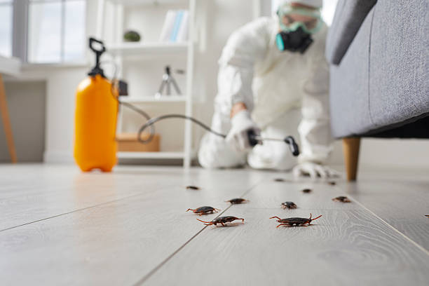 Trusted Fumigation Services service in Westport, WA - Nex Pest Control