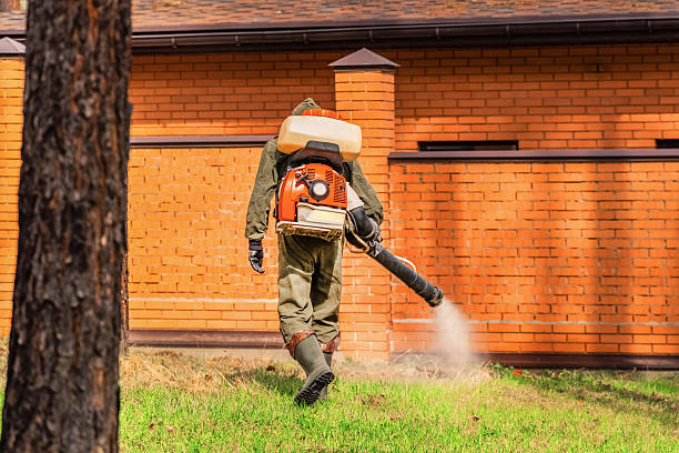 Trusted Termite Control service in Westport, WA - Nex Pest Control